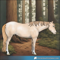 Horse Color:Gold Champagne Pearl