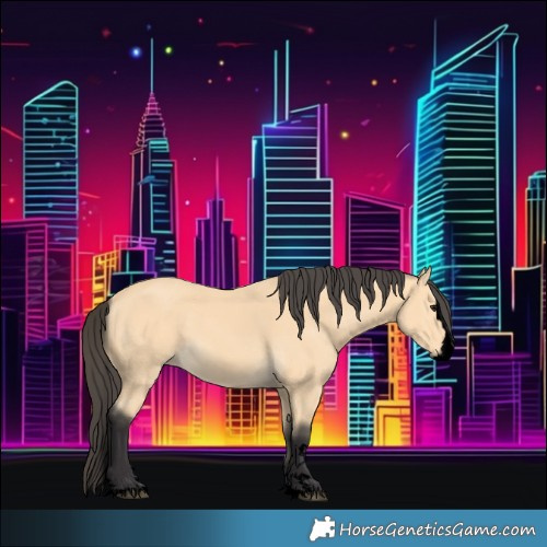 Horse Color:Void Buckskin Splash 
