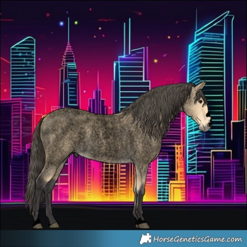 Horse Color:Void Buckskin Roan 