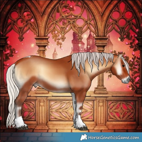 Horse Color:Silver Bay Onyx Tobiano 