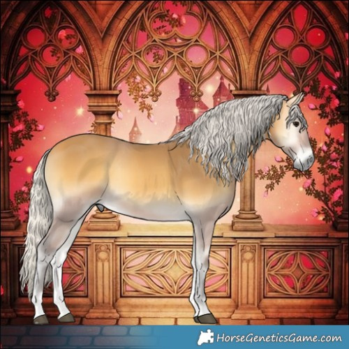 Horse Color:Silver Buckskin Onyx