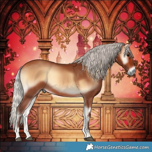 Horse Color:Silver Bay Onyx