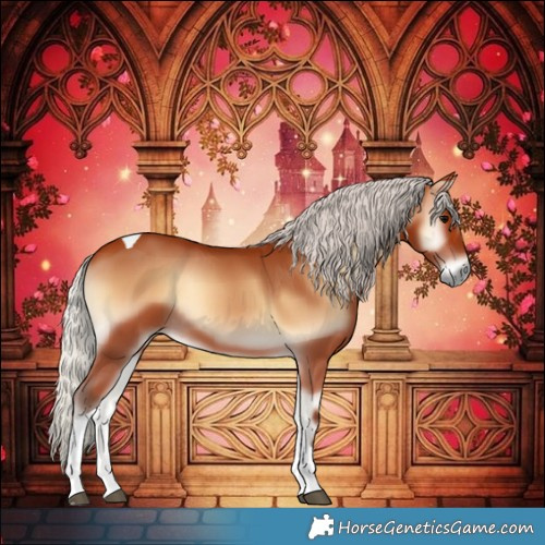 Horse Color:Silver Bay Onyx Tobiano