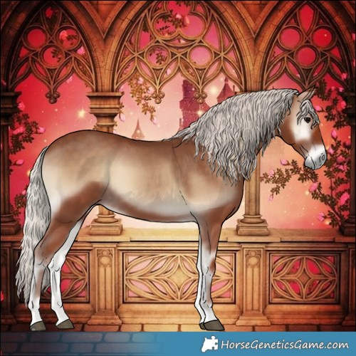 Horse Color:Silver Blue Onyx 