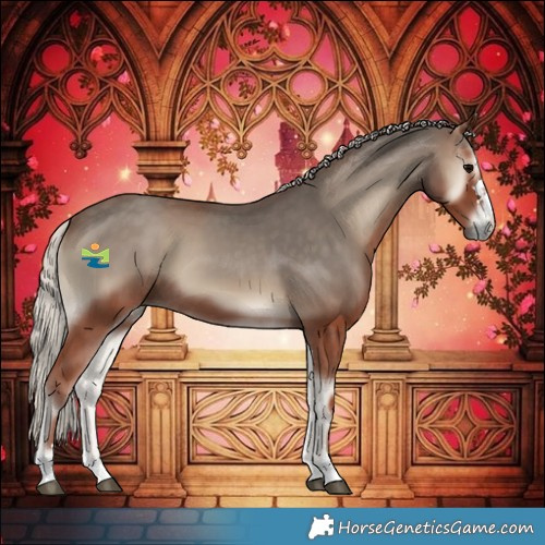 Horse Color:Silver Blue Onyx
