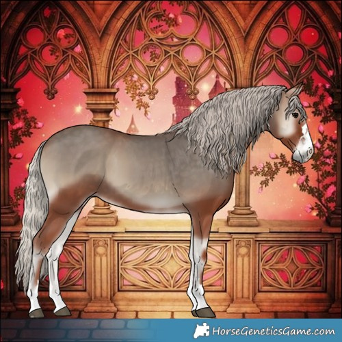 Horse Color:Silver Blue Onyx 