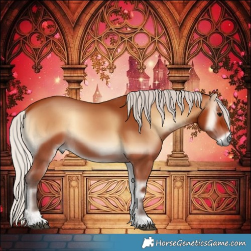Horse Color:Silver Bay Onyx