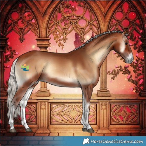 Horse Color:Silver Brown Onyx Rabicano 