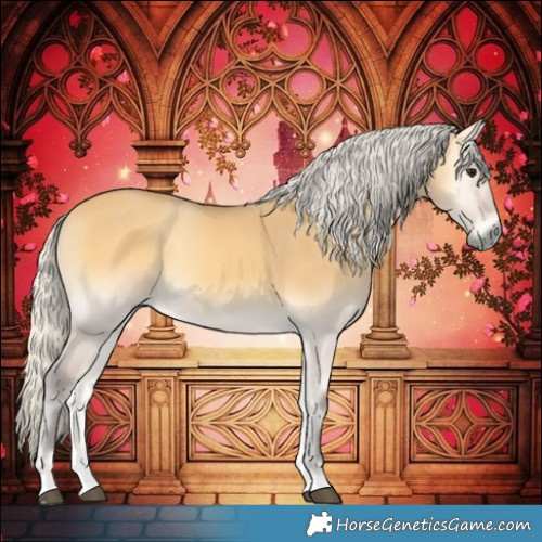 Horse Color:Silver Buckskin Onyx