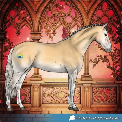Horse Color:Silver Buckskin Onyx 