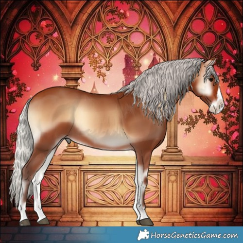 Horse Color:Silver Bay Onyx Splash