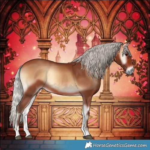 Horse Color:Silver Brown Onyx