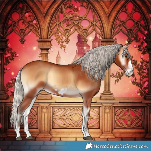 Horse Color:Silver Bay Onyx Frame 