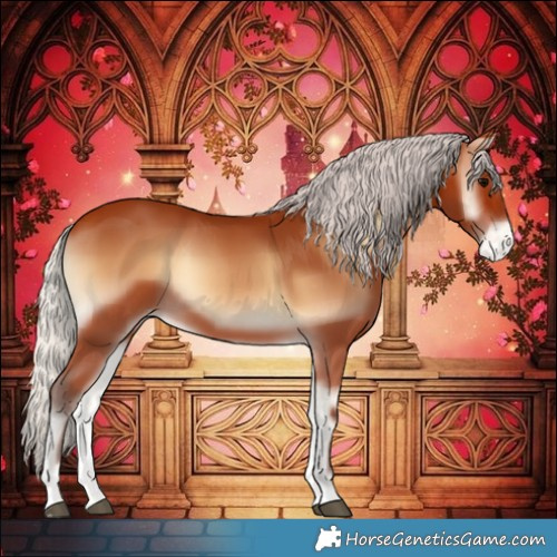 Horse Color:Silver Bay Onyx Varnish
