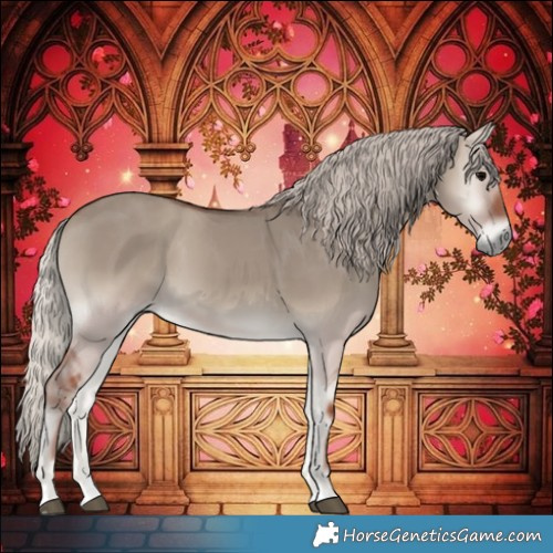 Horse Color:Silver Grullo Onyx