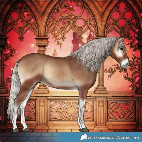 Horse Color:Silver Blue Onyx