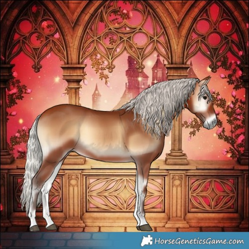 Horse Color:Silver Bay Onyx 