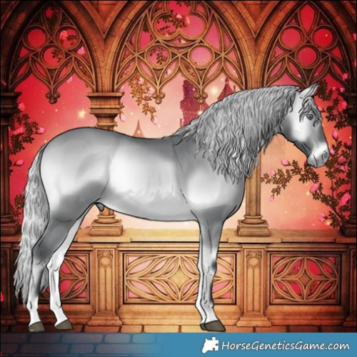 Horse Color:Silver Brown Chinchilla Onyx