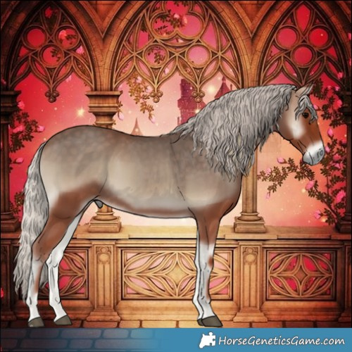 Horse Color:Silver Blue Onyx 