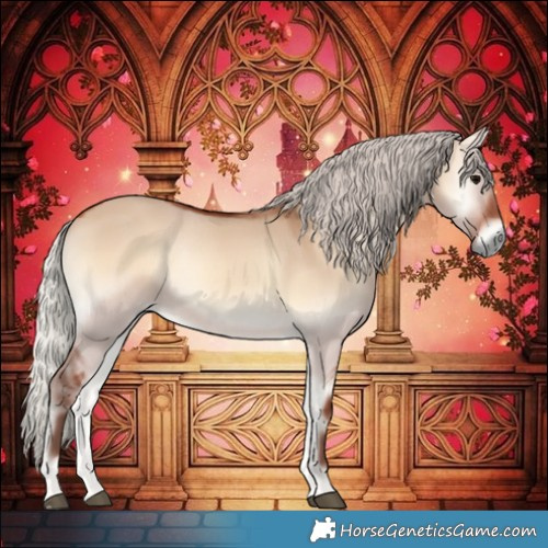 Horse Color:Silver Bay Onyx