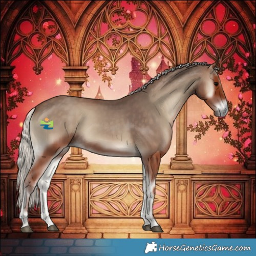 Horse Color:Silver Blue Onyx Rabicano