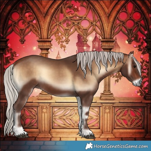 Horse Color:Silver Brown Onyx 