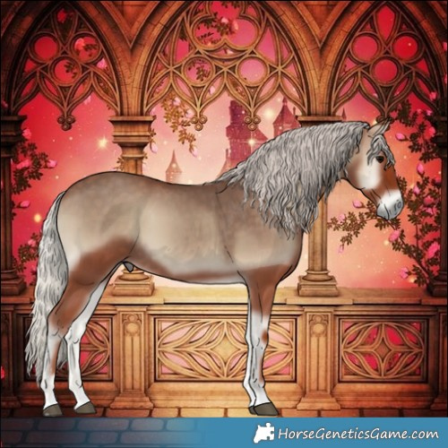 Horse Color:Silver Blue Onyx 