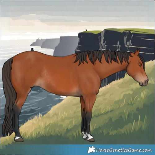Horse Color:Bay Rabicano