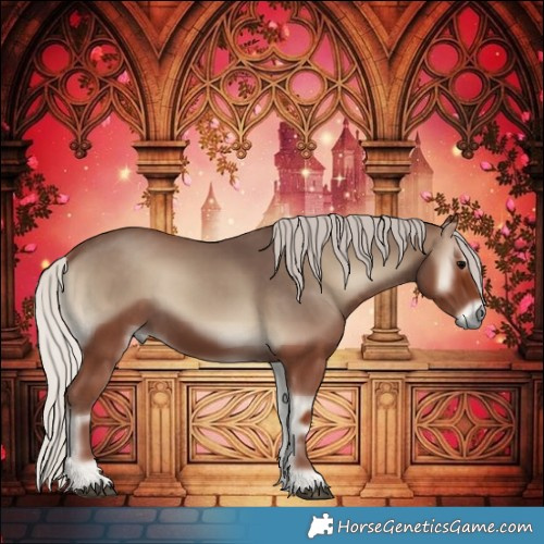 Horse Color:Silver Blue Onyx