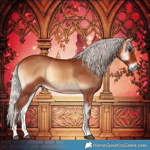 Horse Color:Silver Bay Onyx