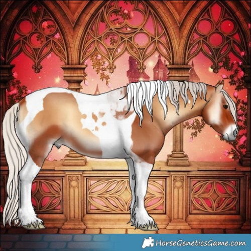 Horse Color:Silver Bay Onyx Tobiano 