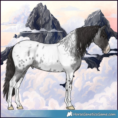 Horse Color:Smoky Blue Roan Tobiano Blanket