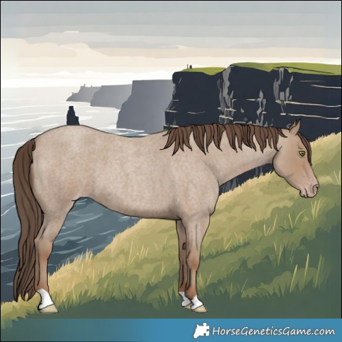 Horse Color:Classic Champagne Roan