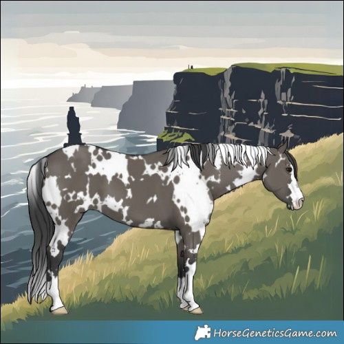 Horse Color:White Spotted Grullo 