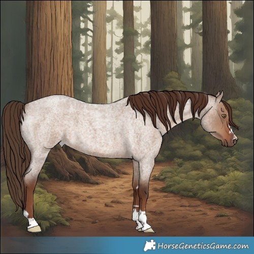 Horse Color:Liver Red Dun Roan