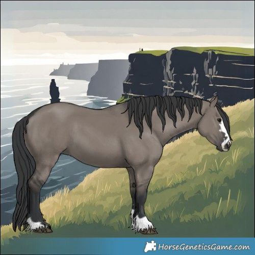 Horse Color:Grullo 