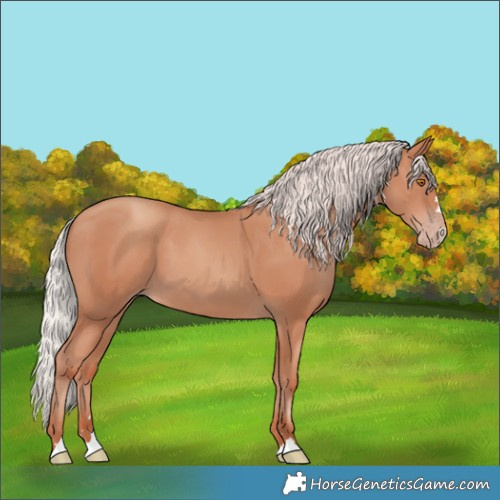 Horse Color:Silver Classic Champagne