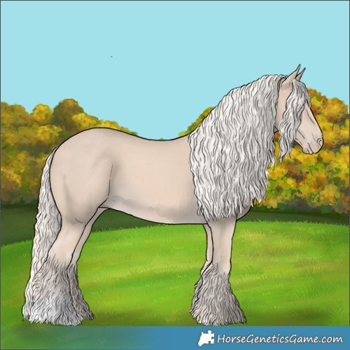 Horse Color:Cremello