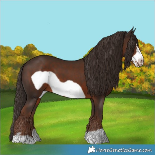 Horse Color:Liver Chestnut Frame