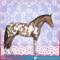 Horse Color:Sable Champagne Tobiano Blanket 
