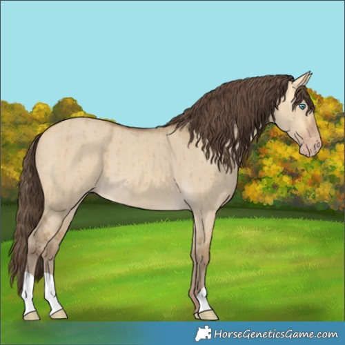 Horse Color:Sable Cream Champagne Dun Brindle