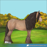 Horse Color:Amber Champagne 