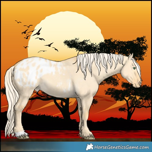 Horse Color:Gold Cream Champagne Dun Blanket 