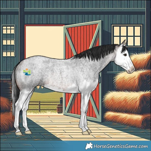Horse Color:Brown Roan Splash Rabicano