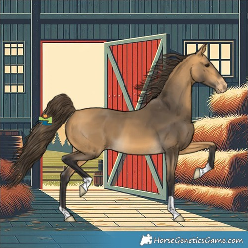 Horse Color:Buckskin Varnish