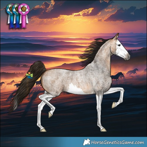 Horse Color:Gray Buckskin Roan Splash 