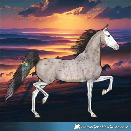 Horse Color:Bay Roan Dun Splash Rabicano 