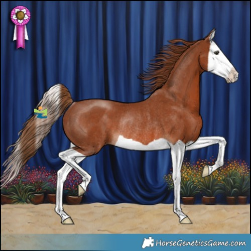 Horse Color:Chestnut Splash Rabicano 