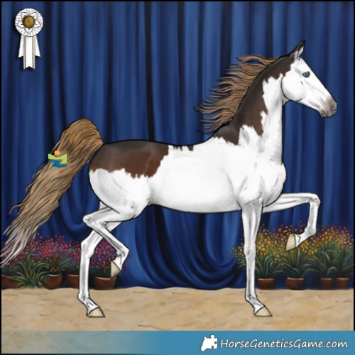 Horse Color:Gray Liver Chestnut Splash