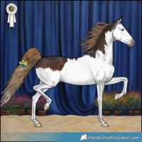 Horse Color:Gray Liver Chestnut Splash 